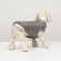 Dog jacket two -sided with print, size 8 (ds 23 cm, og 30, osh 22 cm), gray