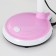 Board lamp "Ray" E27 15W pink 14.5x17.5x41.5 cm Risalux