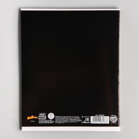 Notebook of 48 sheets in a cage, cardboard cover, spider-man-2
