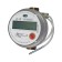 Carat heating system compact 2-223-MB-15-1.5-PT-3V-LW, feed, Lorawan, 3 pulsed entrance