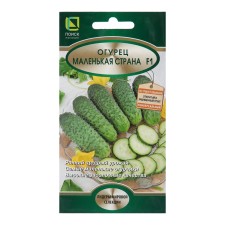 Seeds of cucumber 
