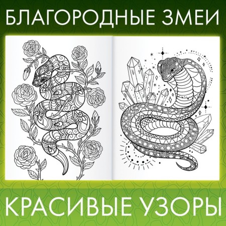 Coloring "Beautiful and dangerous snakes", 20 × 28, 32 coloring, A4 format-1