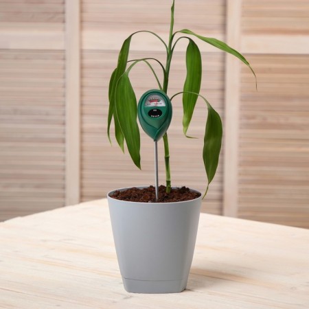 Soil acidity of Greengo-9