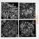Engraving. Antistress engraving set, 20 x 20 cm, 4 pcs