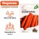 Seed Carrots "Autumn King", 1.5 g Series Hit X3