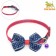 Collar "stars", 30 x 1 cm, kapron, blue