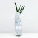 Waterfish seedling "Amadeus", 1 pc, spring 2024