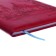 School diary, grade 5-11, PVC City cover, raspberry