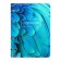 Notebook on rings A5 120 sheets in the Calligrata EXTOTIA cell, plastic cover, offset unit