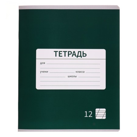 Notebook 12 sheets in the slanting line is a plain "New School. Economy", covered covered paper, VD-LK, Block No. 2 (gray sheets), mix-6