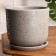Flower lava gray 5.4 l