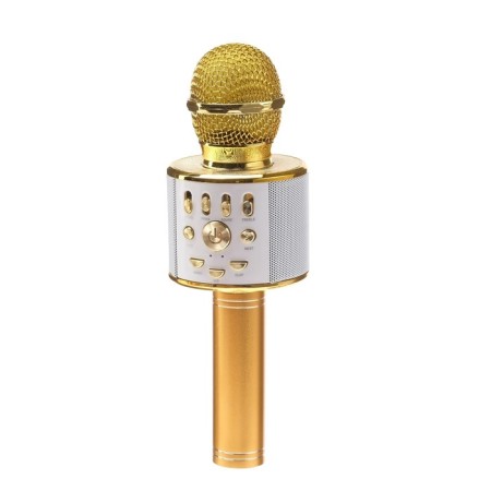 Microphone for karaoke Luazon LZZ-70, WS-868L, 5 W, 1800 mAh, Voice Corr, backlight, golden-1