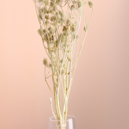 A set of dried flowers "Eringium", ban 5 pcs, length 50 (+/- 6 cm), bleached-1
