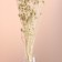 A set of dried flowers "Eringium", ban 5 pcs, length 50 (+/- 6 cm), bleached