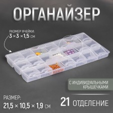 Organizer for needlework, 21 branches, 21.5 × 10.5 × 1.9 cm, the color is transparent