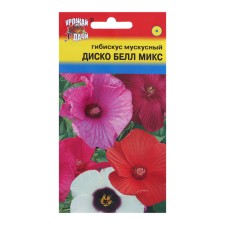 Flower seeds hibiscus 