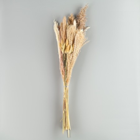 Bouquet of dried flowers "Grace" height 47 cm.-2