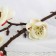 Artificial flowers "Sakura branch" 2.5x42 cm, white