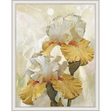 Репродукция картины «Романтические ирисы. №2», 50х65, рама (45-A355)