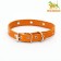Single-layer leather collar with corrugated eyelets, dimensionless, 50 x 2 cm, Osh 36-44 cm, red 70059