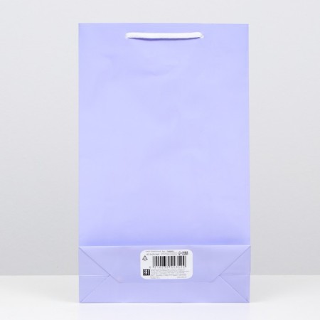 The package is laminated, lilac, 40.5 x 24.8 x 9 cm, set 12 pcs.-1