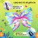 Carnival cape "Wonderful Fairy"