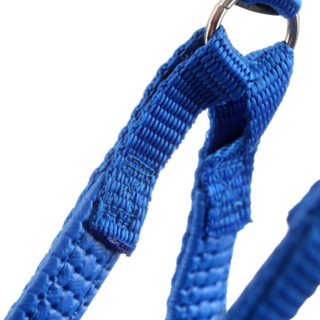 COMPORTS COMPORTS COMBODY, 2 cm, Osh 40-58 cm, og 46-60 cm, blue-4
