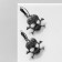 Earrings "Skull" in circles, color black silver