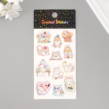 Plastic sticker "Home cutie" 20x9 cm