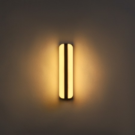 Facade lamp "Ellipse", FSD-029, 24 W, 3000K, IP65, 220 V, plastic, black