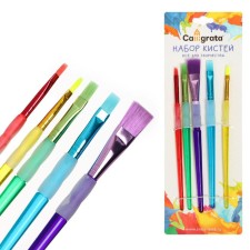 A set of brushes nylon 5 pieces, with colored handles, with rubber holders