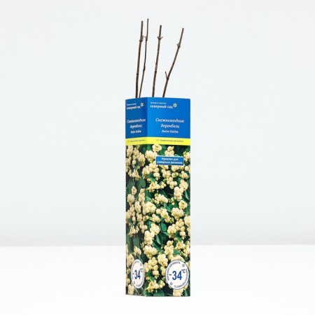 Dorenbozi Snowman "White Hage", tube, 1 pc, spring 2025-1
