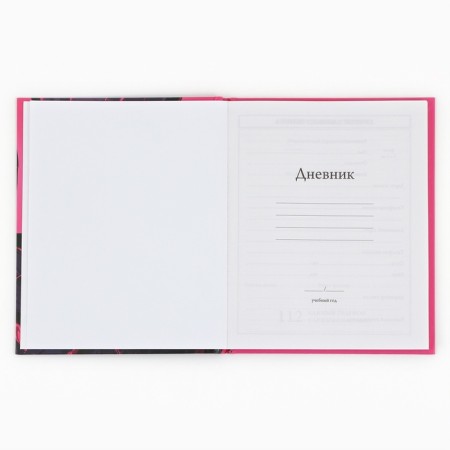 School Diary 1-4 class, in a solid cover, 48 liters "September 1: Anime Girl"-2