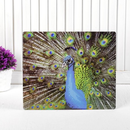 Diamond embroidery with a partial filling of "peacock" with a stand-1