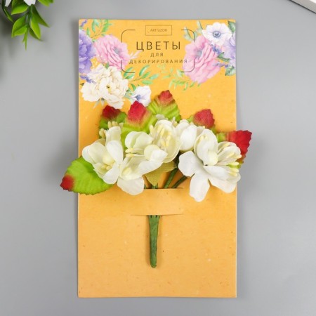 Flowers for decorating "Qinia" 1 bouquet = 6 colors 9 cm cream
