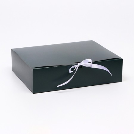 Folding box "Green", 31 x 24.5 x 9 cm