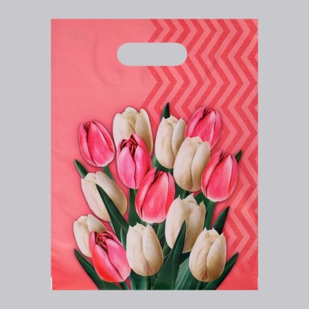 Polyethylene package "Diana" with a cut pen, mix, 50 μm, 30 x 40 cm-1
