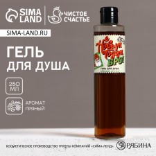 Новогодний гель для душа «С Новым годом, бро!», 250 мл, аромат пряный, Новый Год