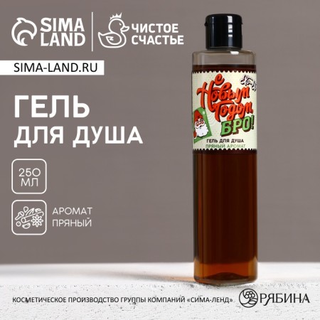 Shower gel “Happy New Year, bro!”, 250 ml, spicy aroma, pure happiness