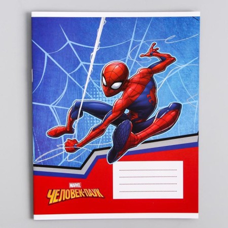 Notebook in a ruler of 12 sheets, 5 types of mix, cover coated cardboard, spider-man-6