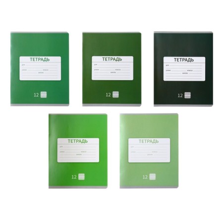Notebook 12 sheets in a frequent slanting line is a plain "New School", cover coated paper, VD-LK, OFSET Block, MIX