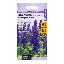 Shallefay seeds 