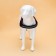 C9 sloping is soft reflective, size l, og 68-80 cm, weight 17.5-32.5 cm, red