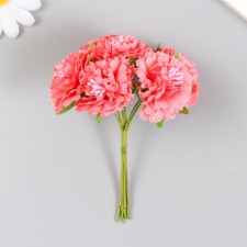Flowers for decorating 