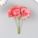 Flowers for decorating "Astra coral" 1 bouquet = 6 colors 10 cm
