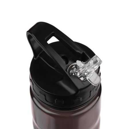 Water bottle, 550 ml, "Master K"-2