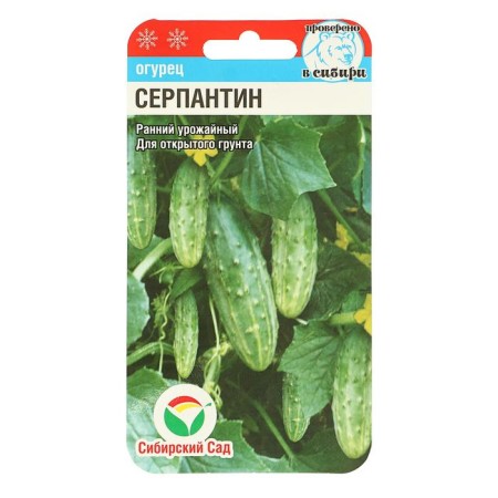 Seeds Cucumber Serpentine, bee -legged, 10 pcs