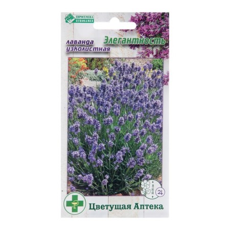 Lavender seeds narrow -leaved "Elegance", 5 pcs