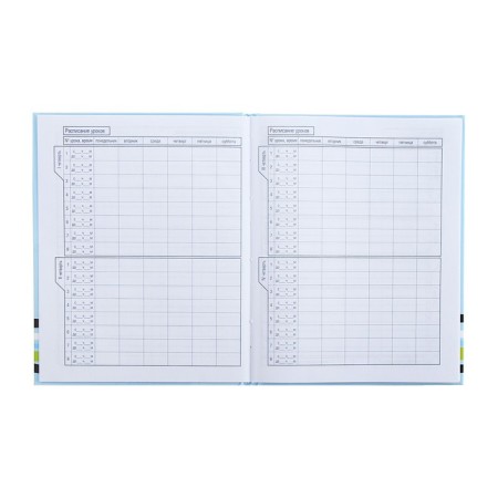 Universal diary for grades 1-11 "Everyone loves cats", solid cover, glossy lamination, 40 sheets-6
