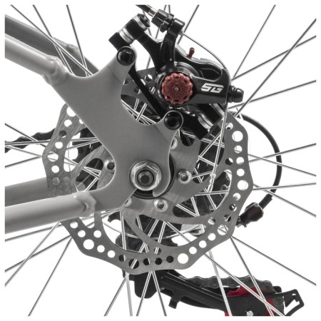 Bicycle 24 "Novatrack Action, Silver Color-4